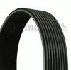 MERCE 0019935796 V-Ribbed Belts